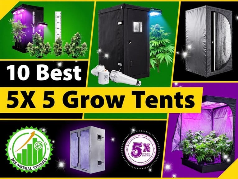 optimal growing environment solutions