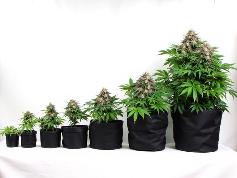 optimal pot sizes autoflowers