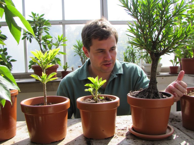 optimal repotting timing guidelines