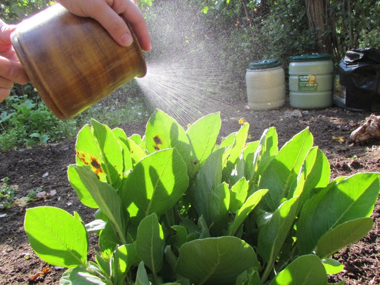 organic garden disease control