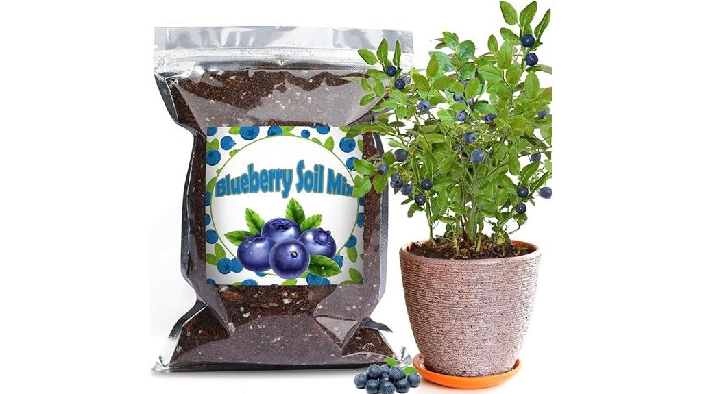organic soil for blueberries