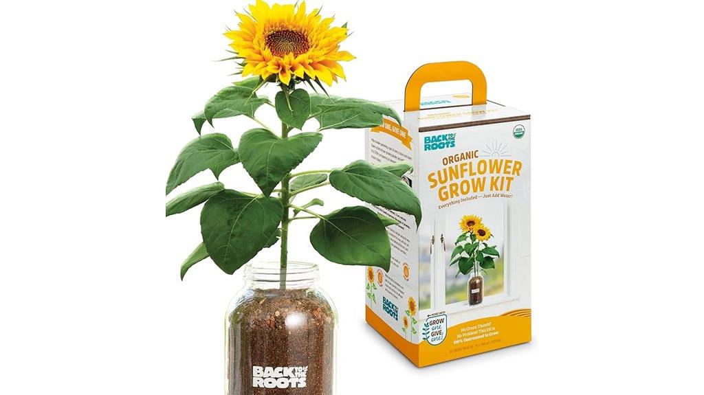 organic sunflower planter kit
