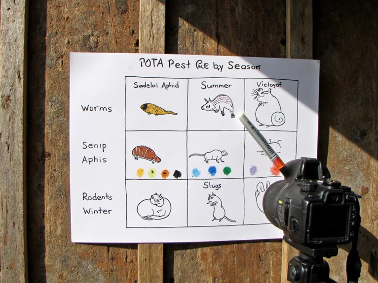 pest monitoring seasonal guide