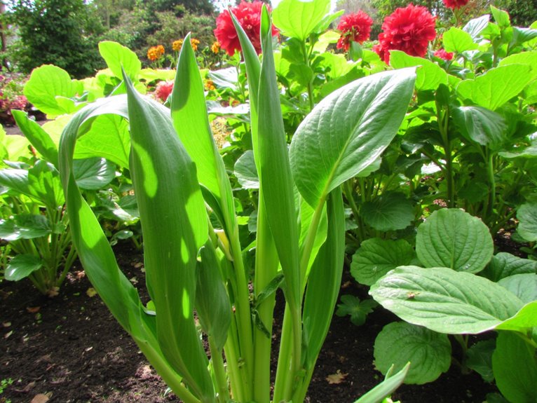 plant nutrient recovery factors