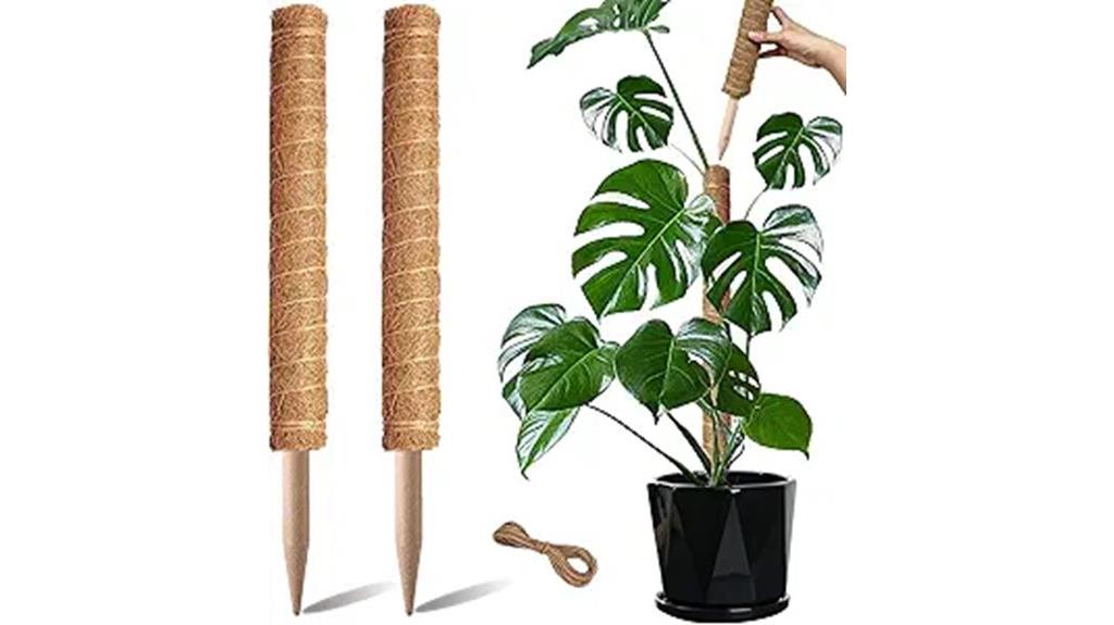 plant support for climbing