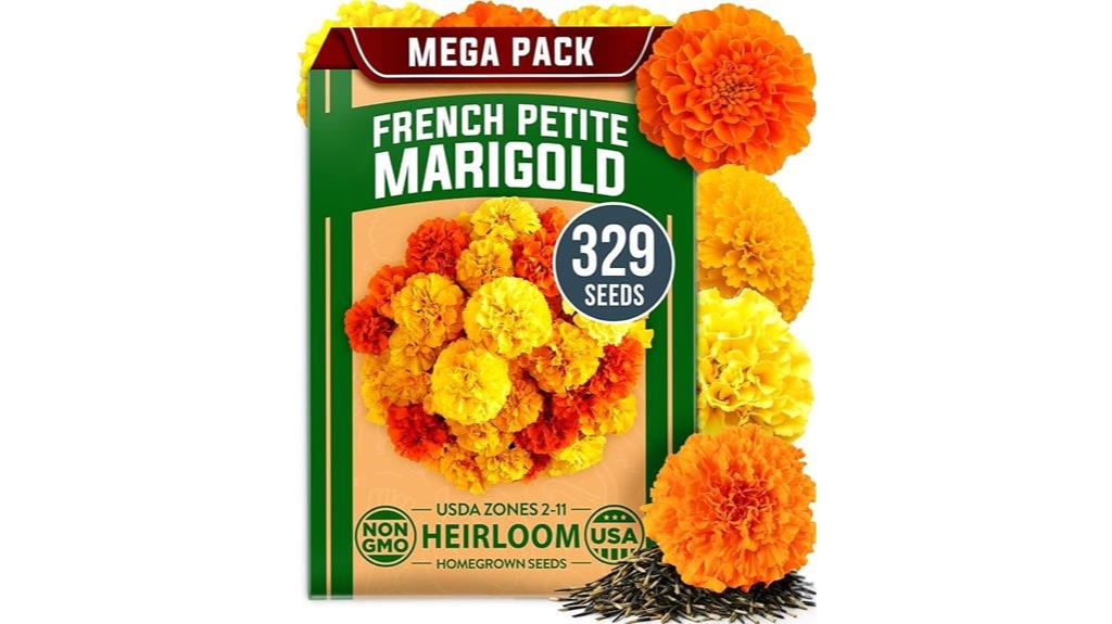 premium petite marigold seeds
