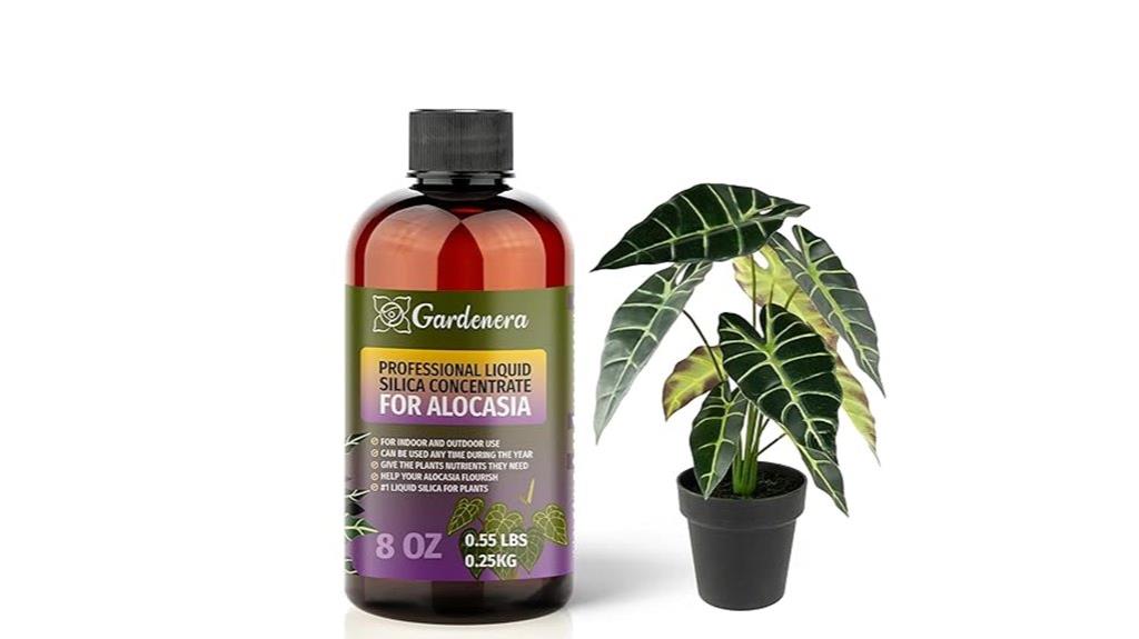 premium silica plant supplement