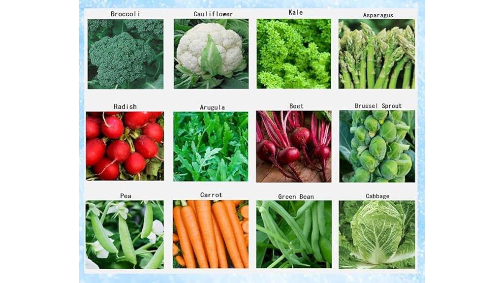 premium vegetable seeds collection