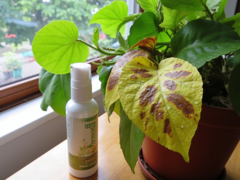 prevent and treat indoor diseases