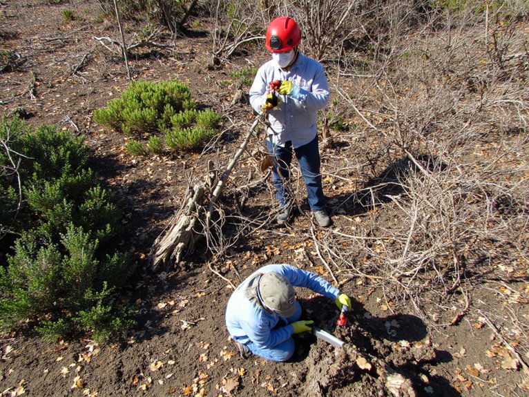 prune safely for recovery