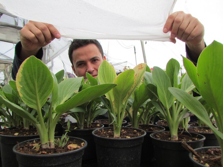 recognizing plant stress signals