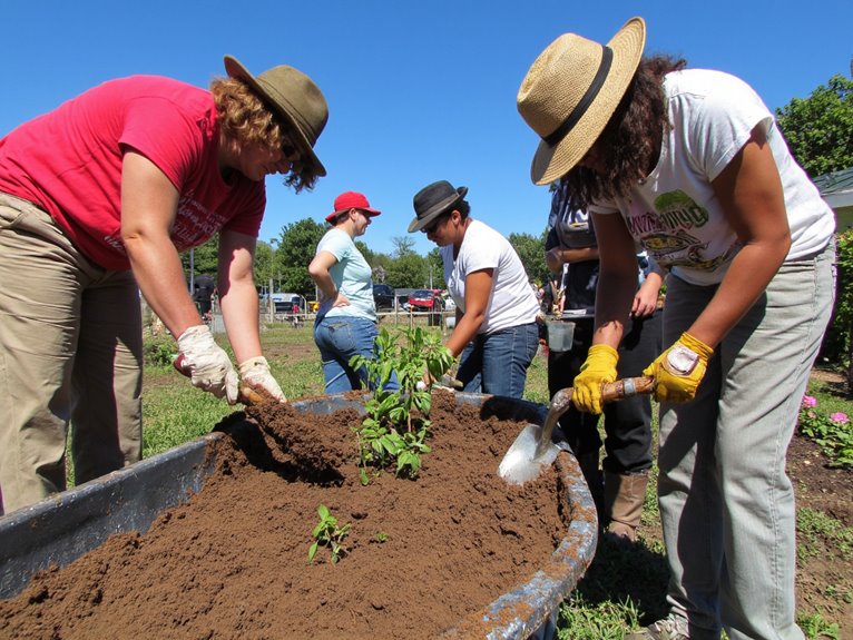 revitalizing used potting soil