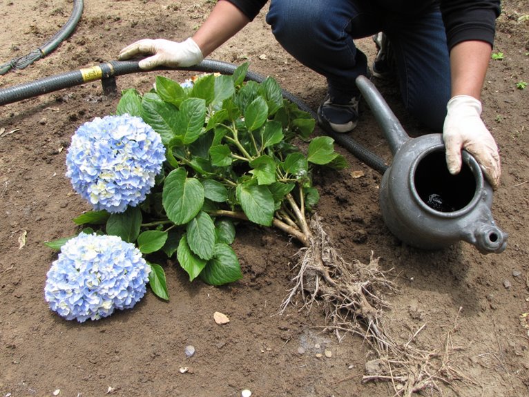 revive severely damaged plants