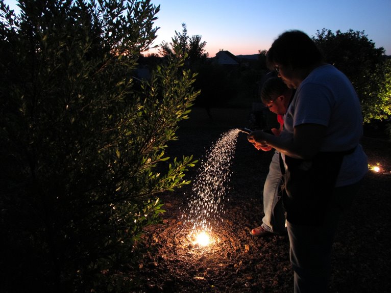 reviving drought stressed plants