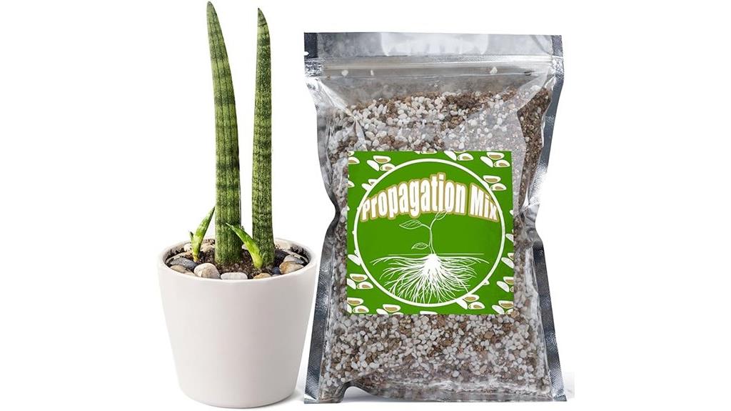 rooting plant cuttings mix