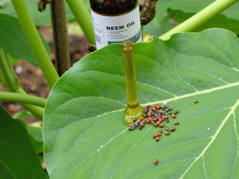rotate insecticides for effectiveness