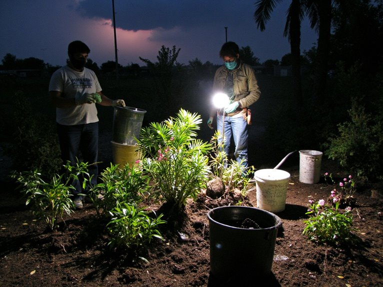 safe plant transportation tips