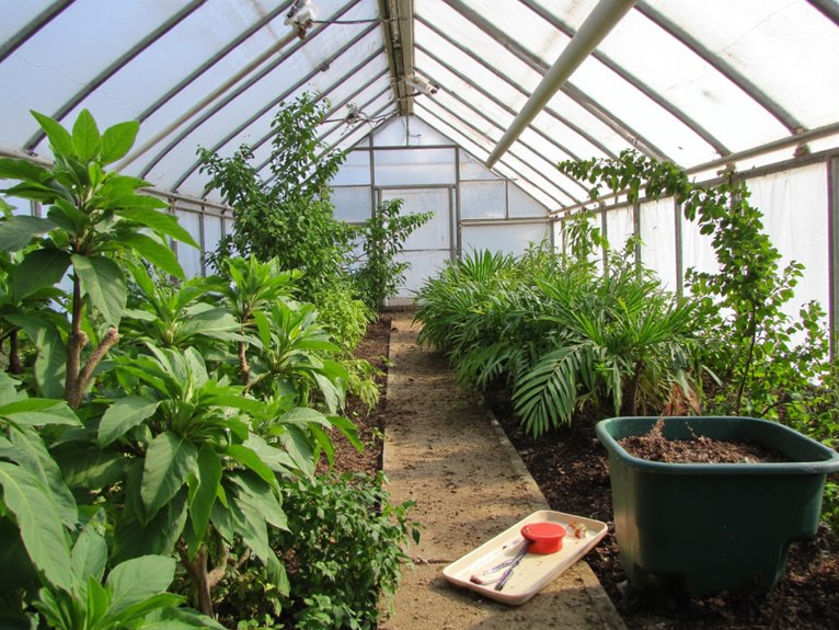 sanitation ensures healthy crops