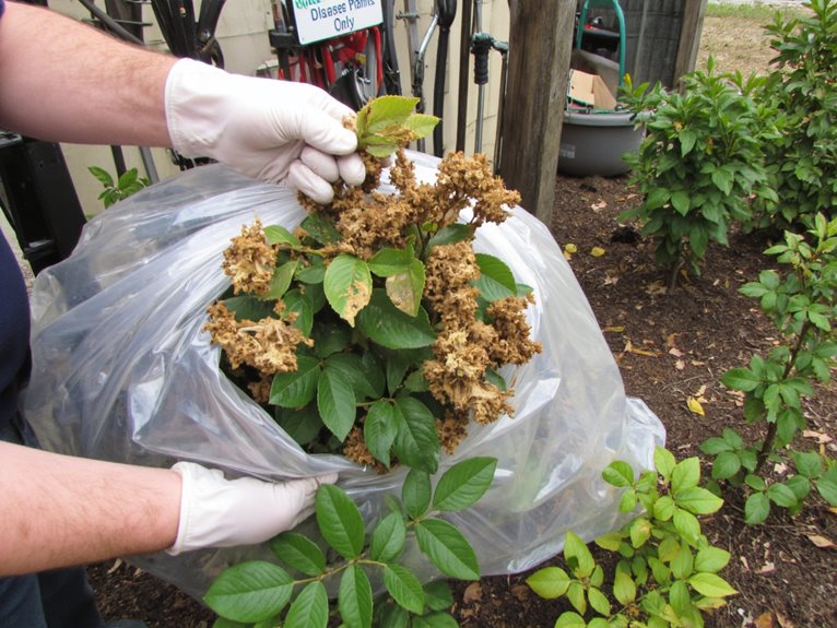 securely dispose of infected materials