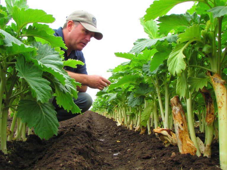 select disease resistant plant varieties