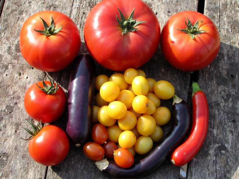 selecting ideal tomato variety