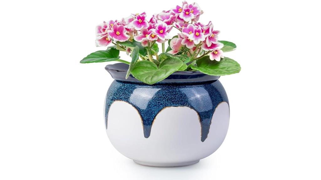 self watering blue pots