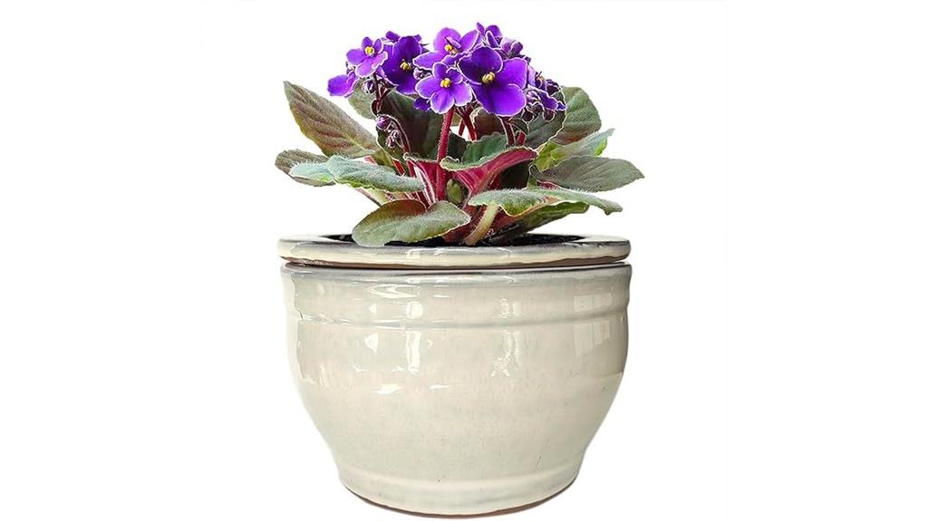 self watering ceramic pot