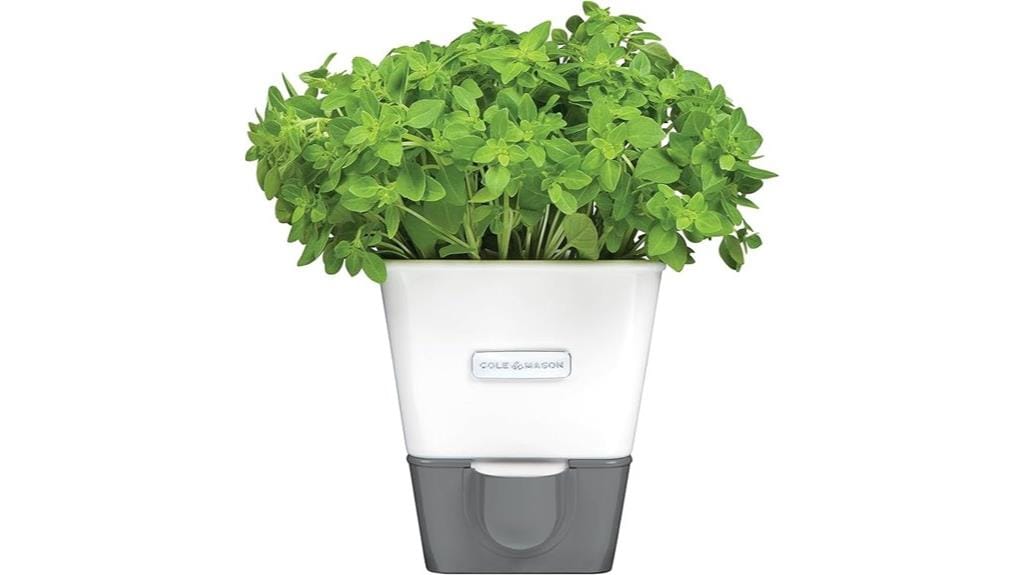 self watering herb keeper