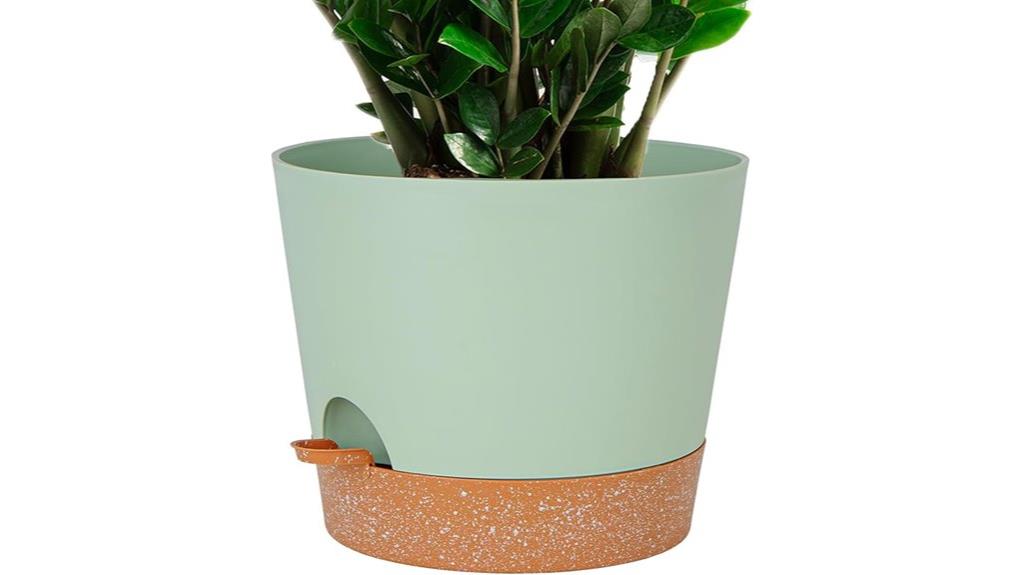 self watering plant pot
