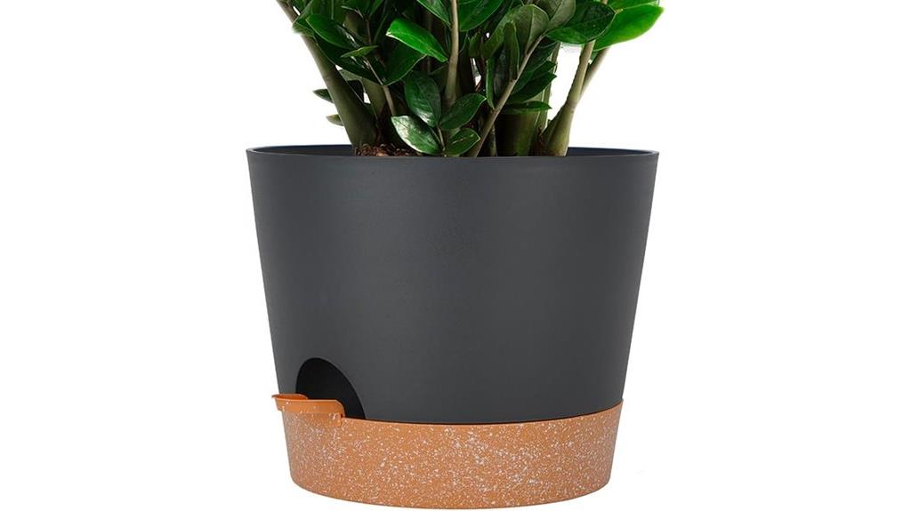 self watering plant pot