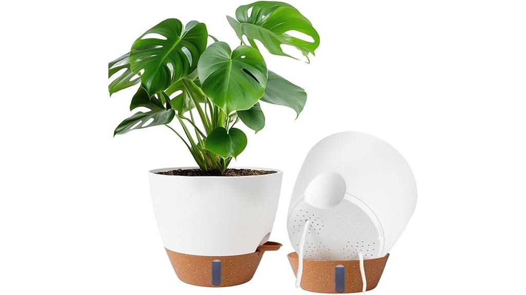 self watering plant pots