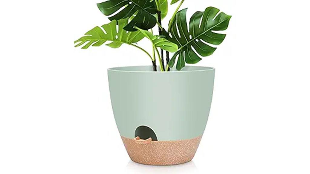 self watering plant pots