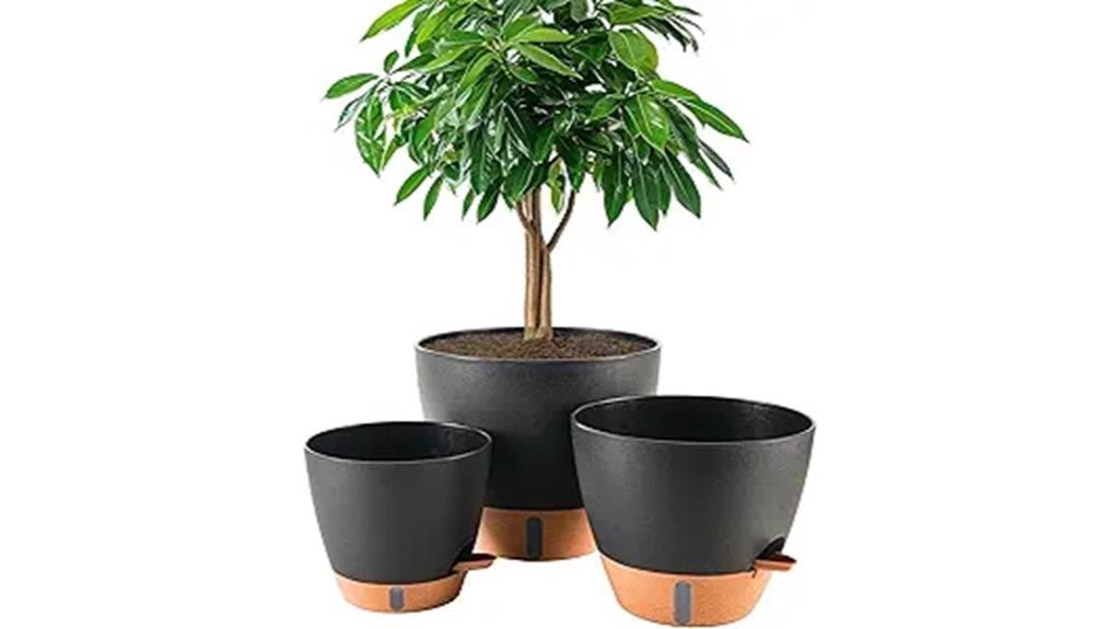 self watering plant pots