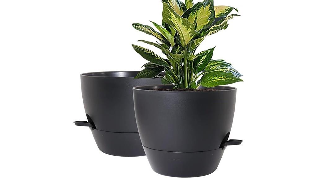 self watering plant pots