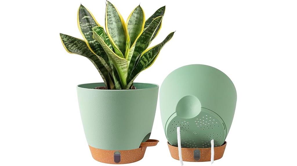 self watering plant pots