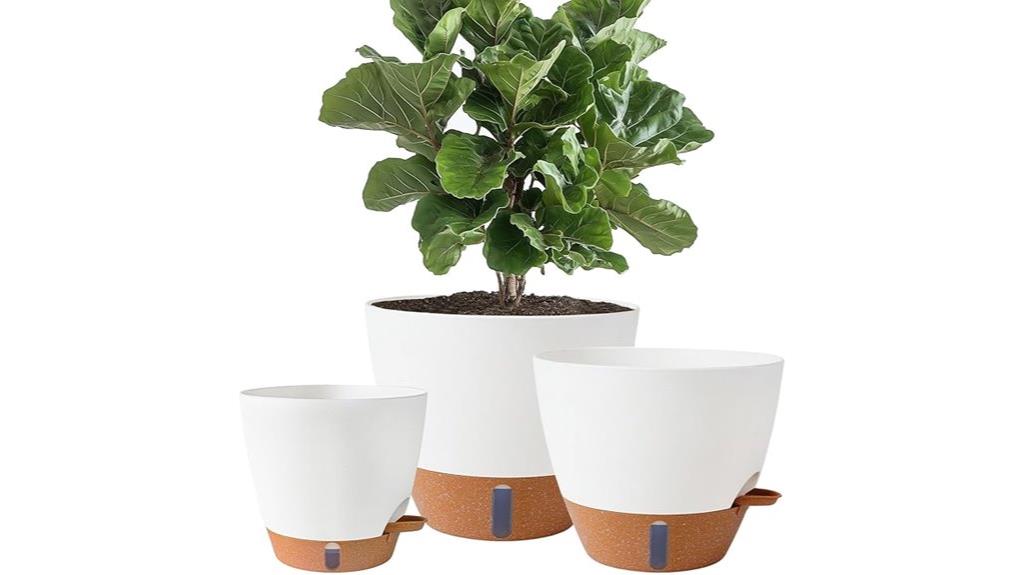 self watering plant pots