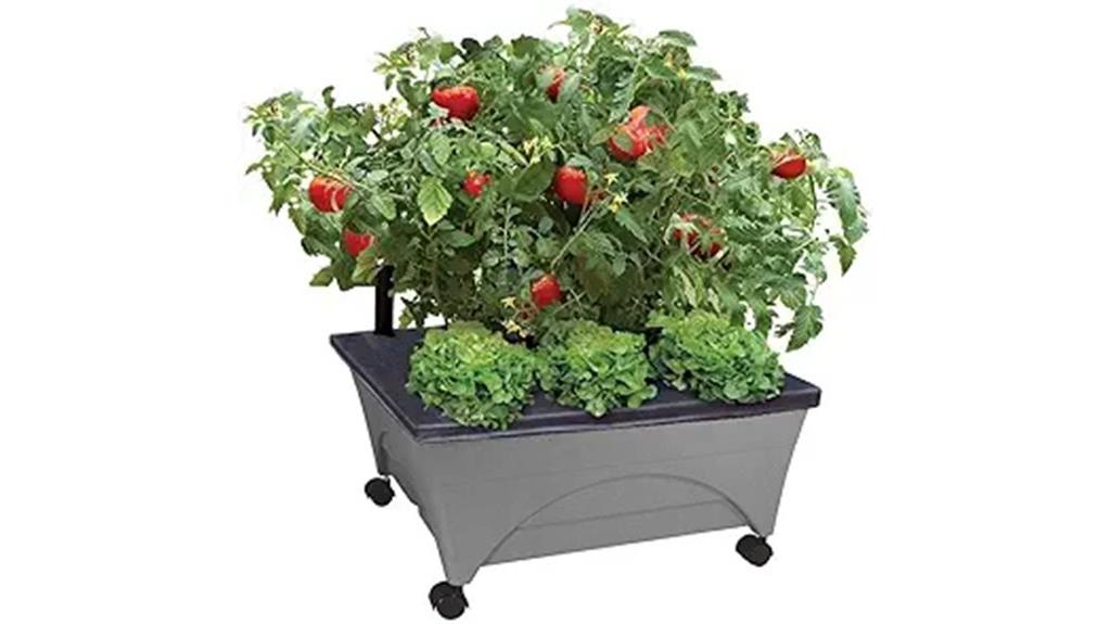 self watering raised garden box