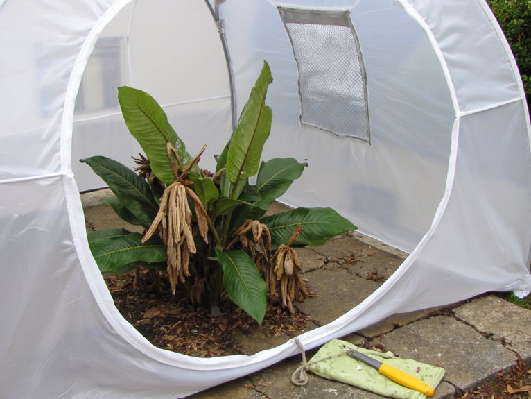 sick plant isolation measures