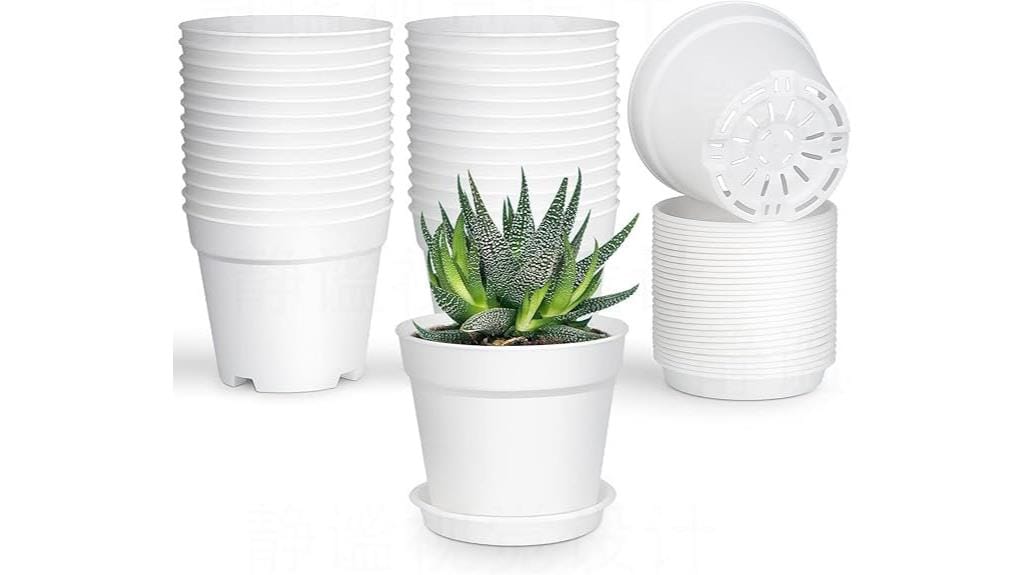 small pots with saucers