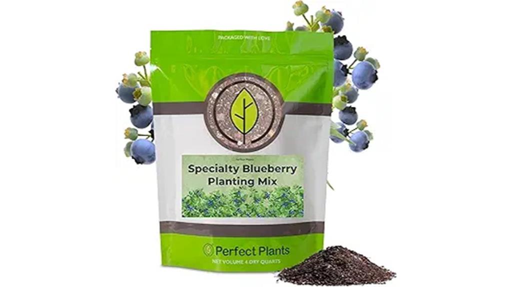 specialty potting mix for blueberries