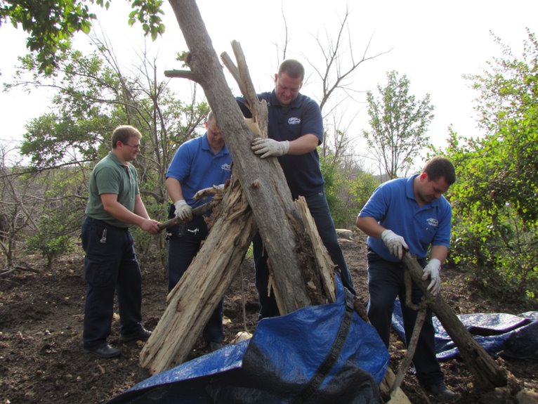 storm damaged garden plant recovery