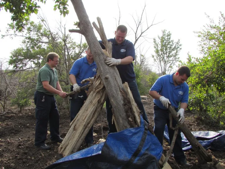 storm damaged garden plant recovery