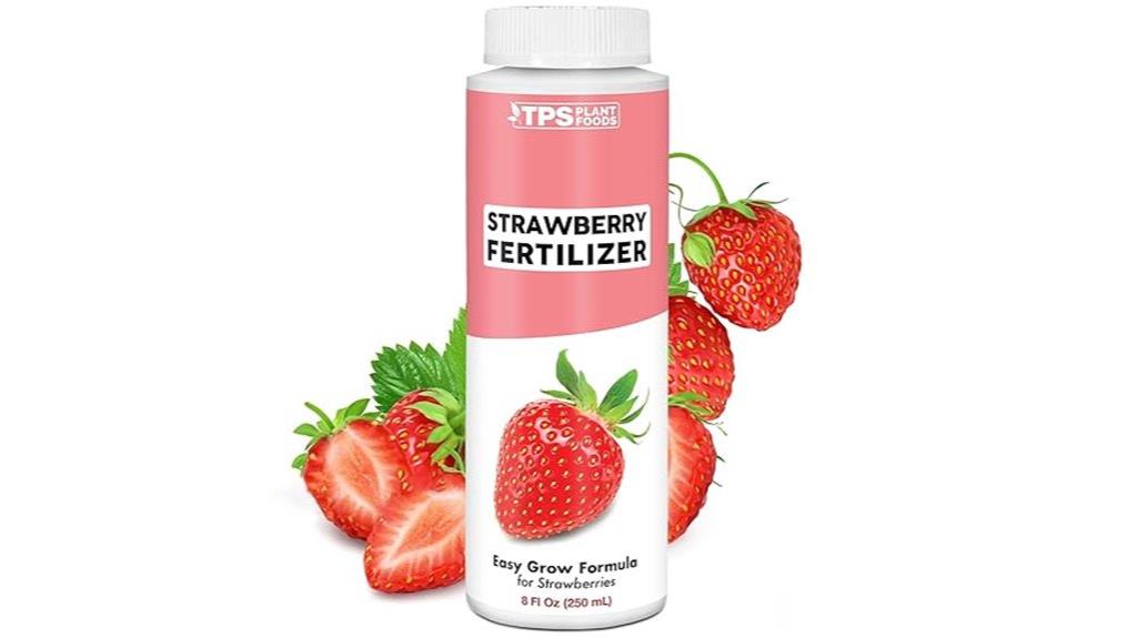 strawberry fertilizer for gardens
