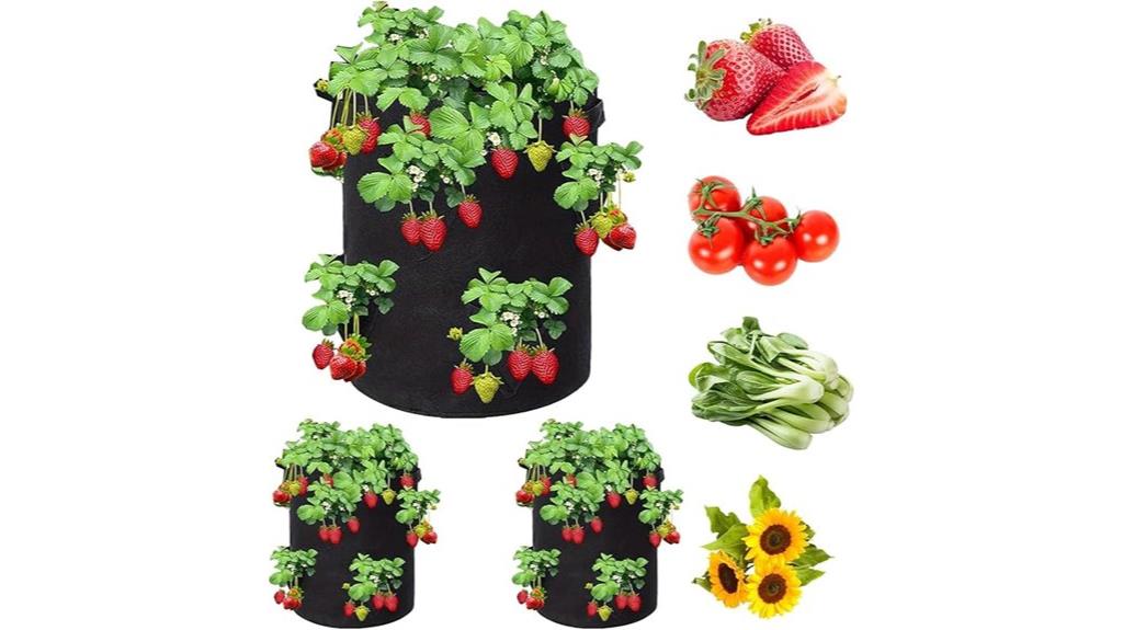 strawberry grow bags set