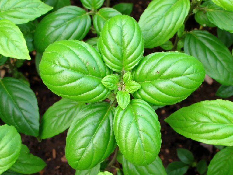 strong plants resist pests