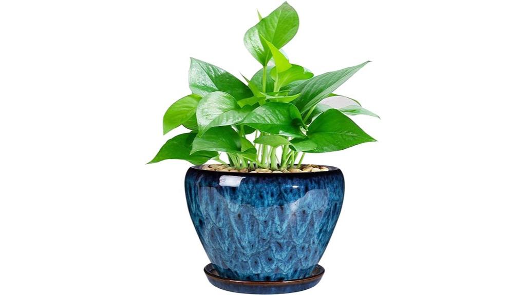 stylish succulent planter pot