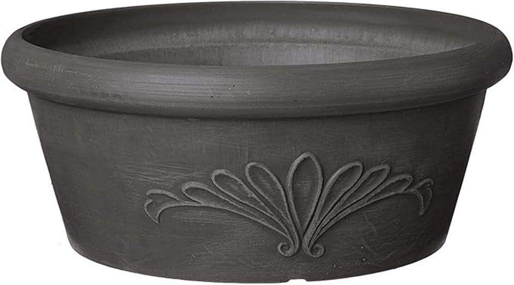 succulent planter dish 10 inch