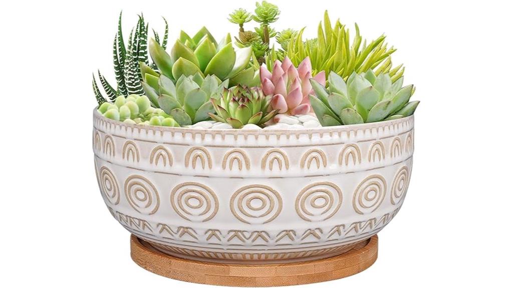 succulent planter with saucer
