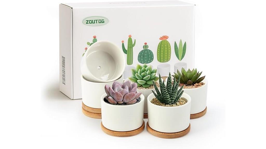 succulent pots with drainage