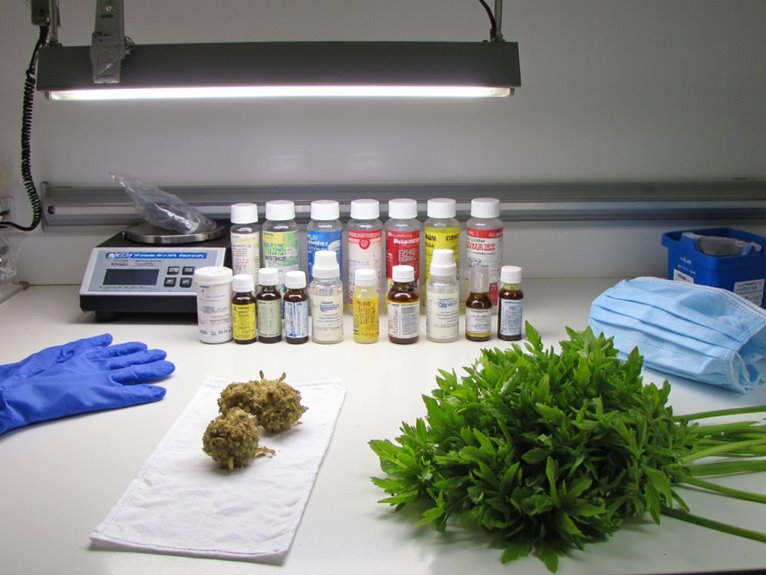 synthetic disease treatment guidelines